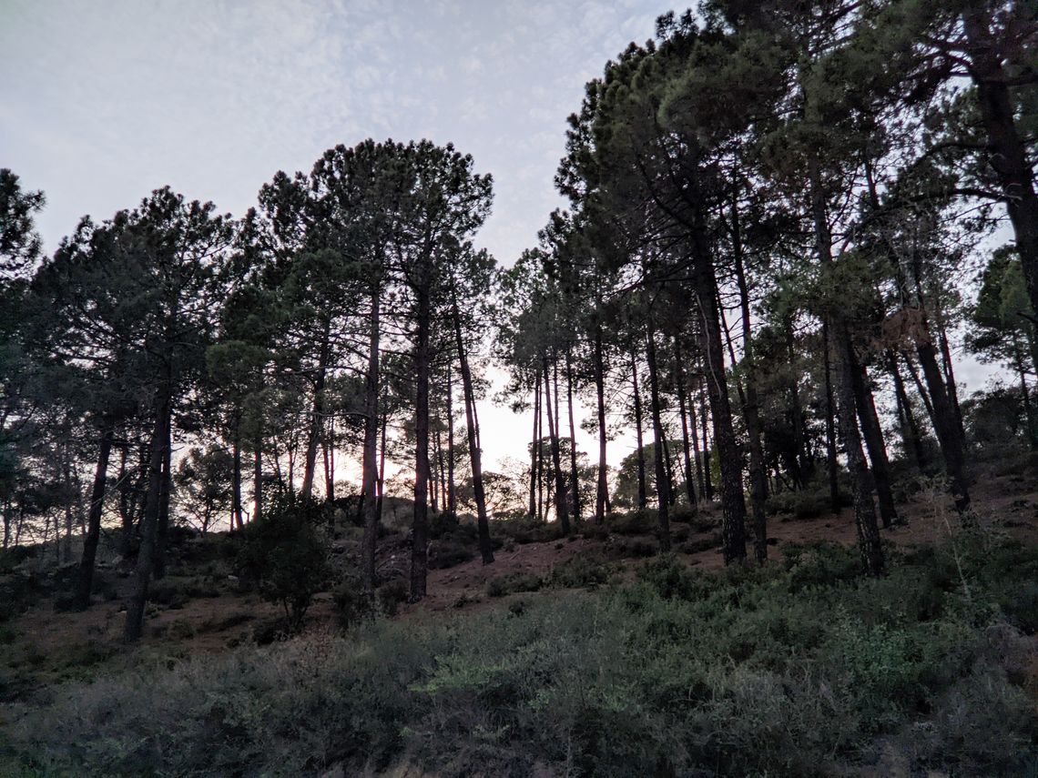 (Untitled)
