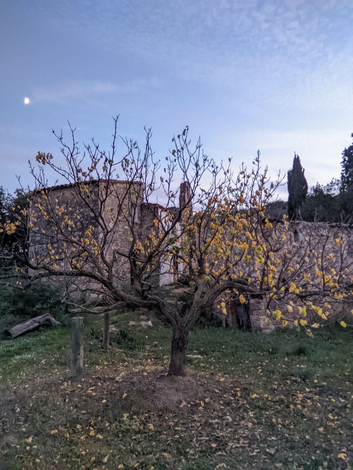 (Untitled)