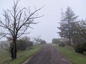 Le Mont Saint-Cyr dans la brume