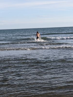 (Untitled)