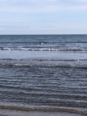 (Untitled)