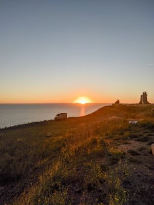 (Untitled)