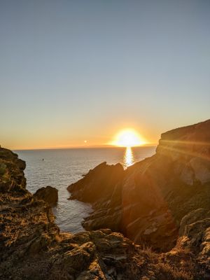 (Untitled)