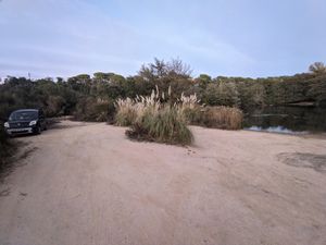 (Untitled)