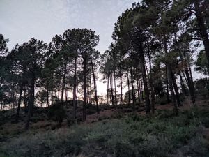 (Untitled)