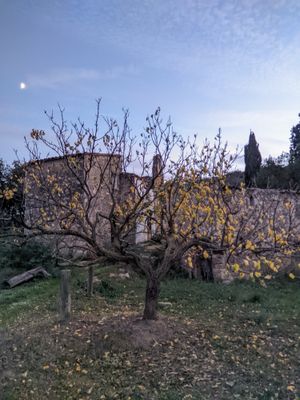 (Untitled)